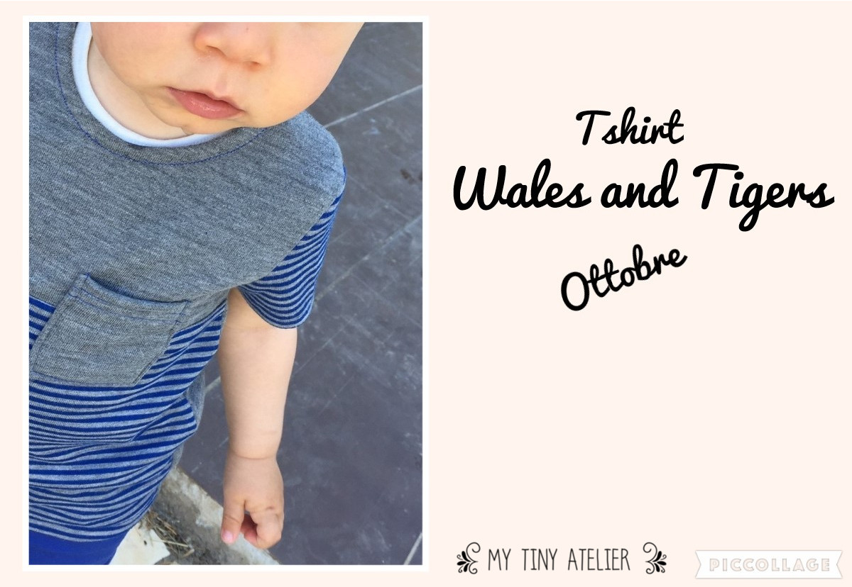 75. Tshirt Wales and Tigers 1